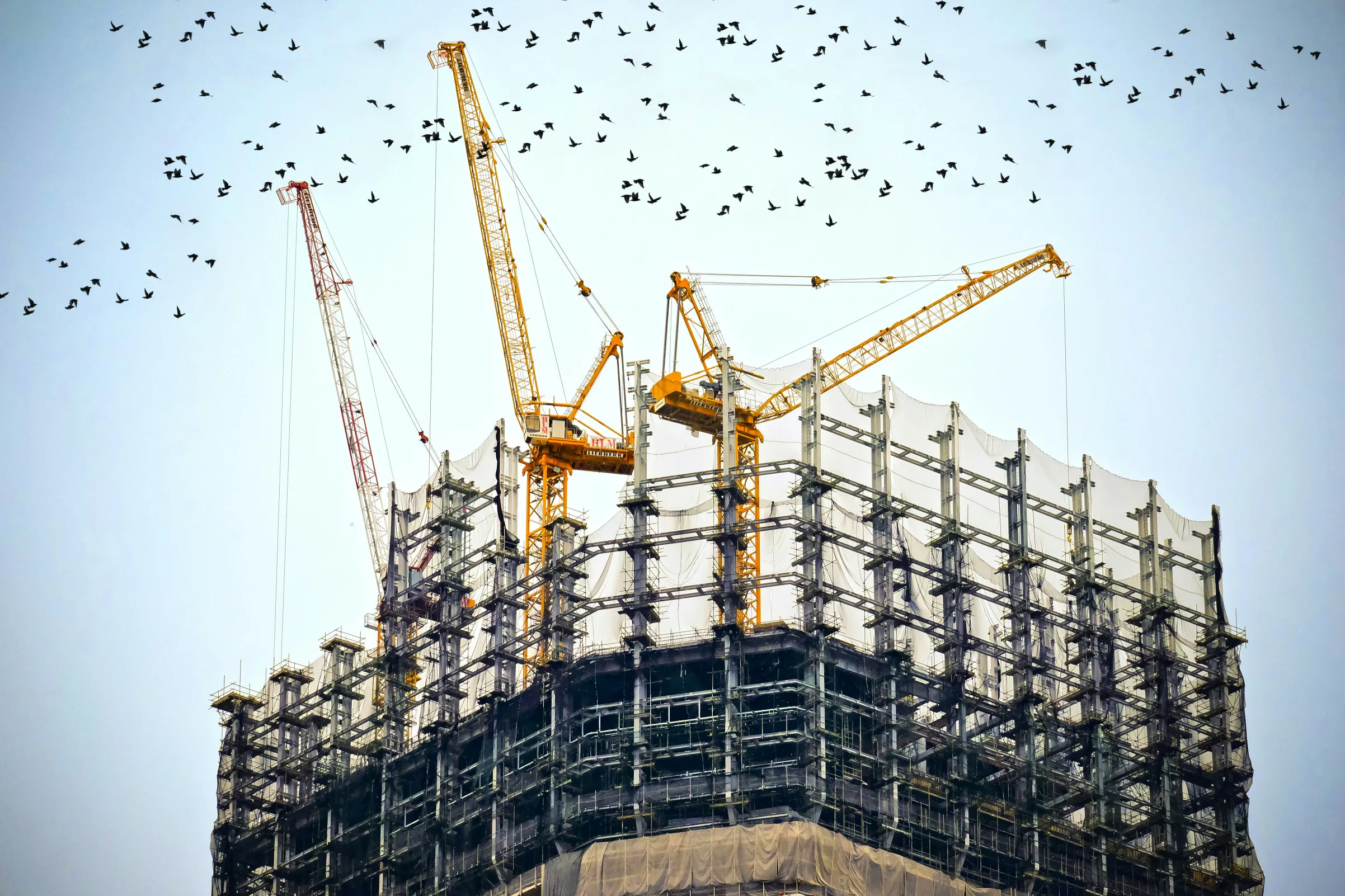 Gambar unggulan untuk Definisi Hoist Crane
